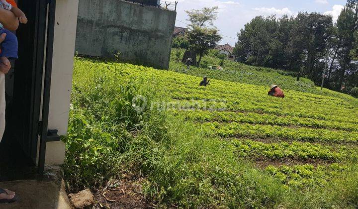 tanah kavling setiabudi regency setiabudhi wing sersan bajuri sukasari 2