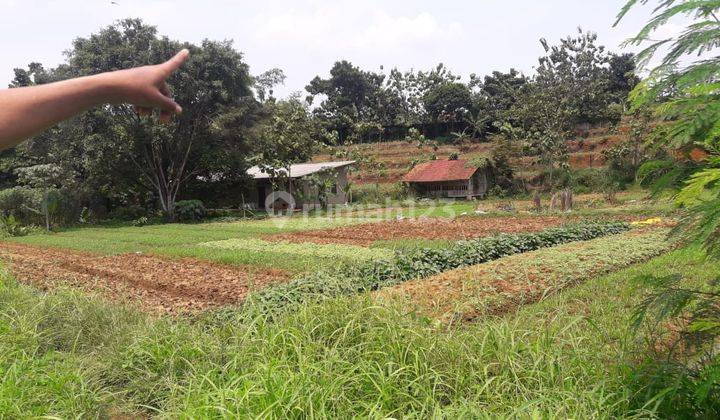 Tanah di bogor utara tanah sareal luas 2 hektar 2