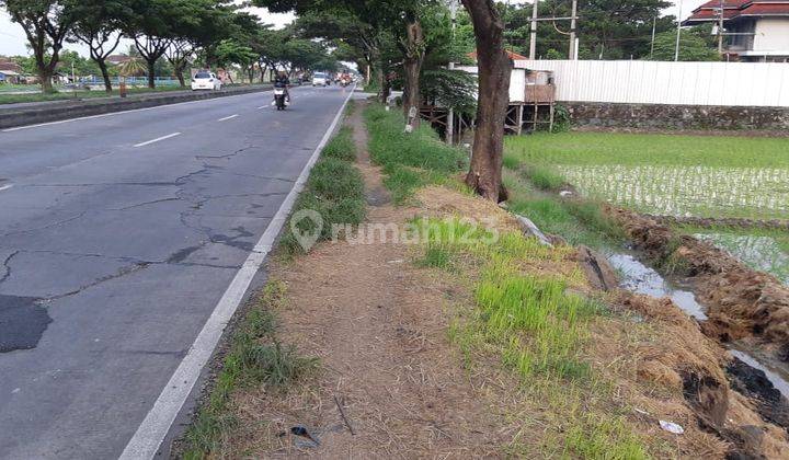 Tanah Di Desa Trengguli, Demak 2