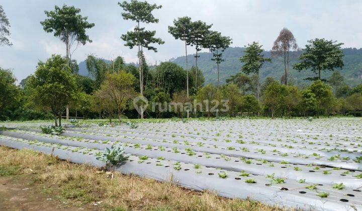 Tanah yg Indah dan Subur di Cisarua Bandung Barat 1