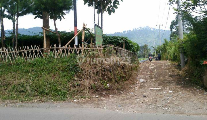 Tanah yg Indah dan Subur di Cisarua Bandung Barat 2