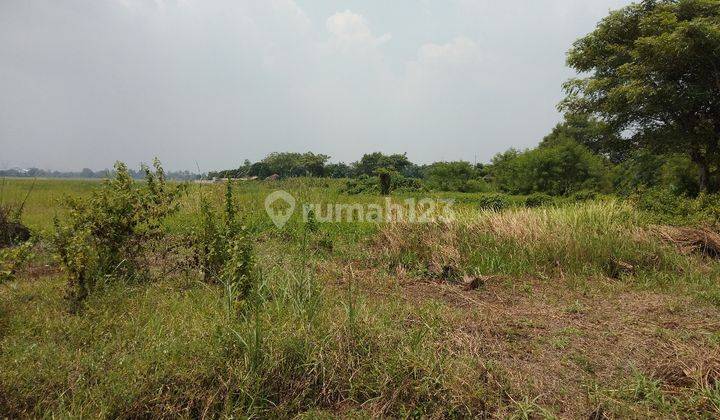 tanah padat siap bangun pabrik dan gudang 1