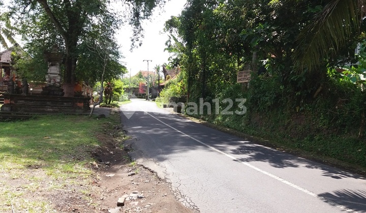 land for lease central of ubud long term 25 years