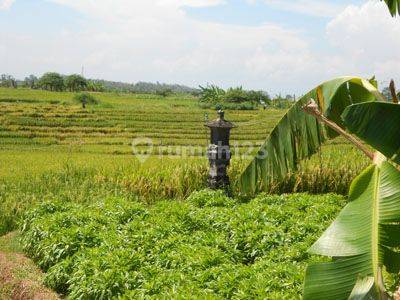 BEAUTIFUL LAND WITH SEA VIEW 2