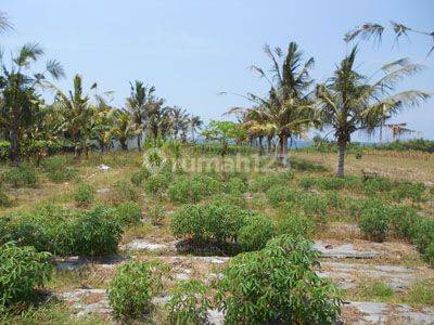 BEACH FRONT LAND 2