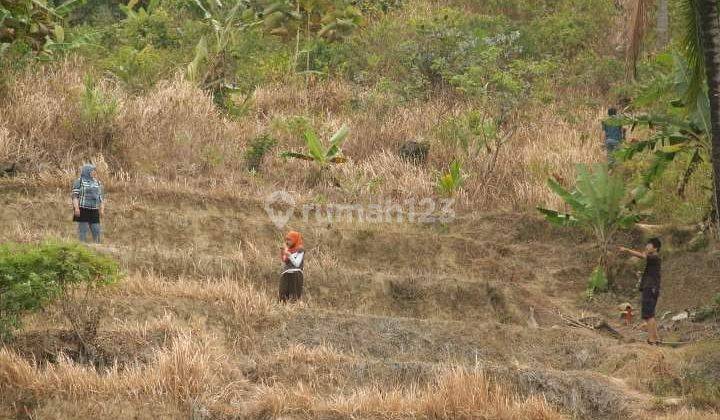 LAHAN MATANG SEBERANG PANTAI  1