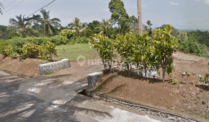 Cheap Land, Strategic Location in Jembrana Suitable for Investment 2