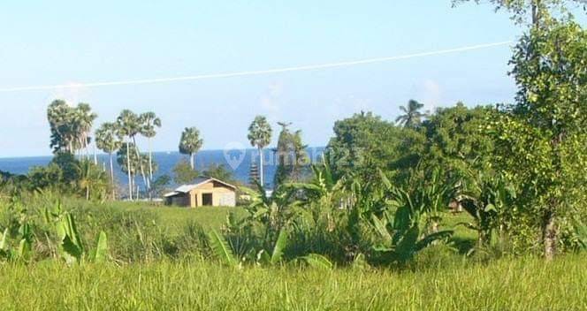 MAKE AN OFFER ! 2600m2 Land FREEHOLD at East Coast Bali + Sunrise and Ocean View, Saba 1