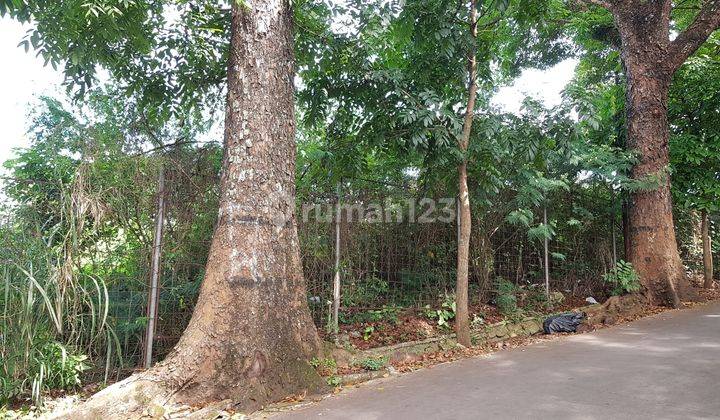 Sayap Ciumbuleuit atas, dekat Warung Ethnic 1