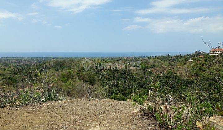 FULL OCEAN VIEW!! 2 HECTARES in Banjar, 20 Minutes to LOVINA 1