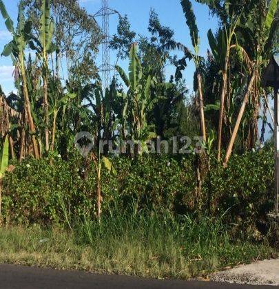 tanah dengan pemandangan danau buyan bedugul 1