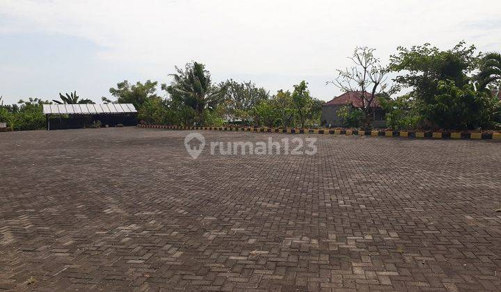 Tanah 50 Are Jalan Utama Seririt, 20 mnt ke Singaraja 1