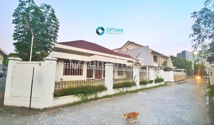 Tanah Bonus Rumah 600m Di Pandega Marta Pogung Dekat Kampus UGM Tanah Bonus Rumah 600m Di Pandega Marta Pogung Dekat Kampus UGM