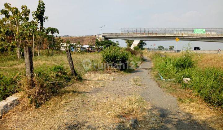 Tanah pinggir jalan tol palikanci Kersana Cocok Untuk Rest Area 2