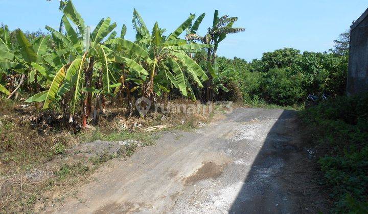 Tanah 2,6 Are Dekat Villa Air Jl Lebak Sari, Petitenget - Kerobokan 1