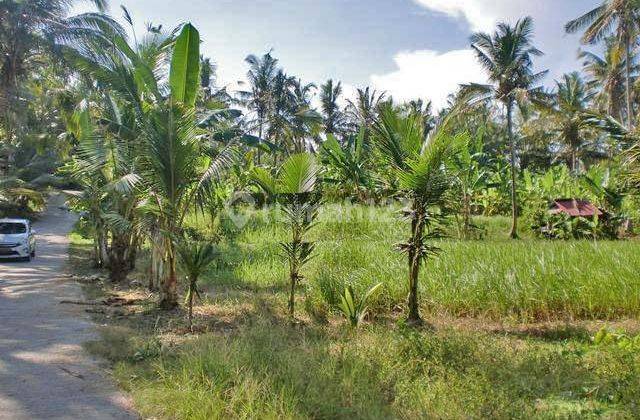 Tanah Paling Murah Dekat Pantai Saba Gianyar Bali (hrtgia144) 1