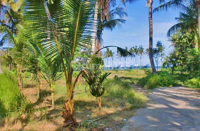 Tanah Paling Murah Dekat Pantai Saba Gianyar Bali (hrtgia144) 2