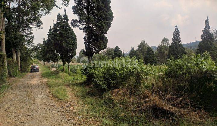 TANAH / KAVLING LEMBANG BANDUNG SIAP BANGUN LOKASI MANTAP BENTUK PERSEGI 1