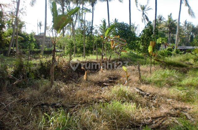 Tanah untuk pemukiman dengan pemandangan sawah di saba gianyar 1