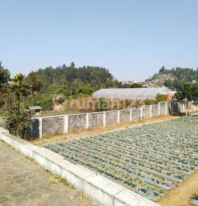 tanah rata siap bangun di cijeruk, lembang 2