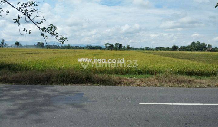 Tanah Kering Cocok Untuk Gudang Sukoharjo 1