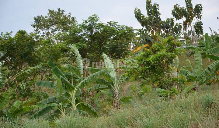 Tanah di Sukabumi Dekat Geopark Sukabumi 2