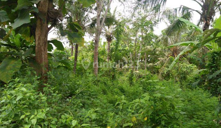Land close from saba beach 2