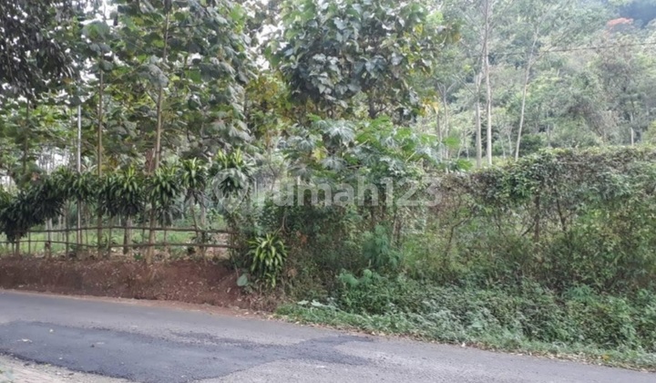 READY TO DEVELOP Gunung Wukir Plot Land in TORONGREJO VILLE, ALL Ventures.