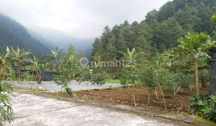 Tanah Pekarangan Siap Bangun di Kawasan Wisata TawangMangu Dekat dengan Bukit Sekipan 1