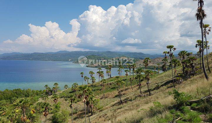 Prime Waterfront 50.000m2 FREEHOLD Land at Labuan Bajo, Flores 1