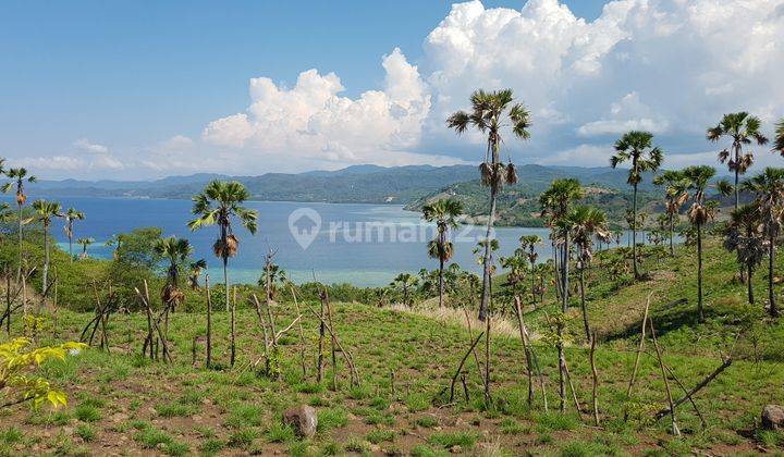 Prime Waterfront 50.000m2 FREEHOLD Land at Labuan Bajo, Flores 2