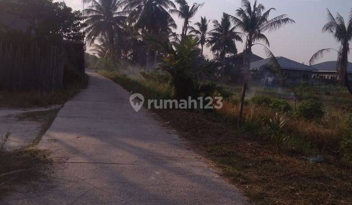 Tanah Murah Pinggir Jalan Siap Bangun Rumbai 2