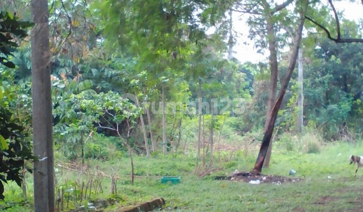 kavling exclusive di daerah strategis..surat hak milik kavling exclusive di daerah strategis..surat hak milik