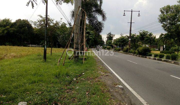 Tanah Murah Strategis di Raya Solo Tawangmangu, Karanganyar 1