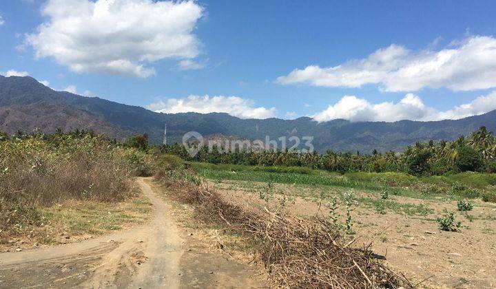 Waterfront Land Suitable for Hotel at Buleleng 1