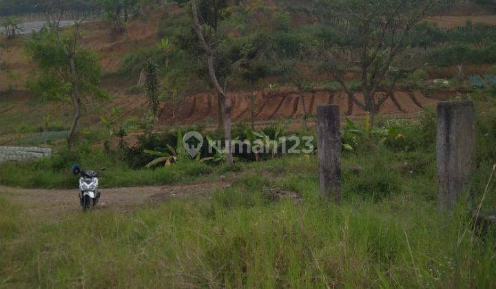 Tanah puncak cisarua di bawah NJOP 1