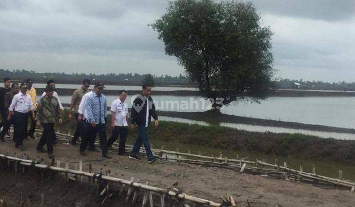 Tambak Muara Gembong Dekat Ri I 1