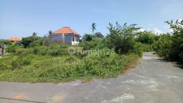 Tanah Kavling 2 Are 200m2 di Jl. Selukat Gianyar dekat Bali Safari 1