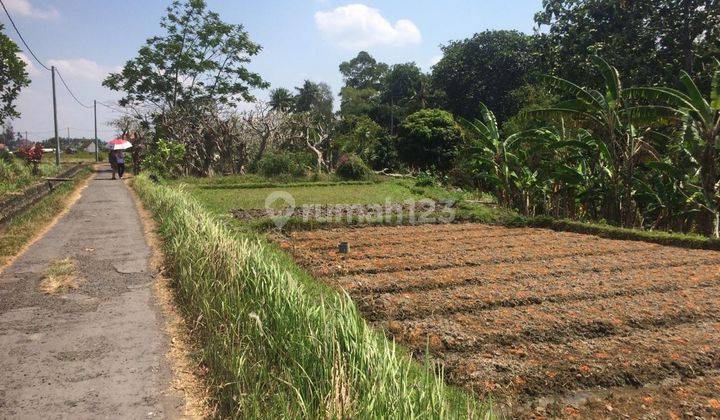 Tanah di Trenggana Penatih 2