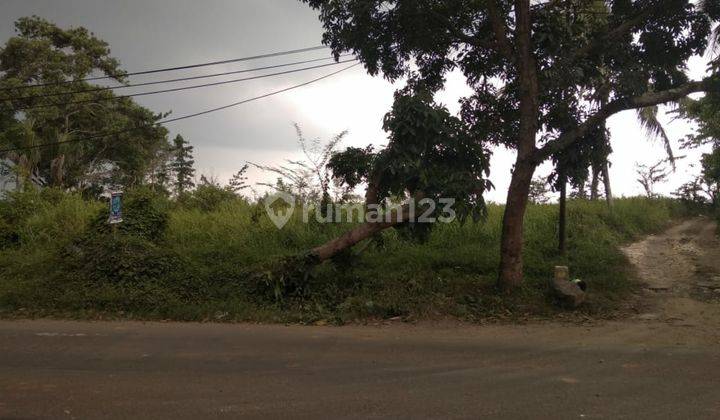 Tanah padat untuk komersil dan perumahan 2