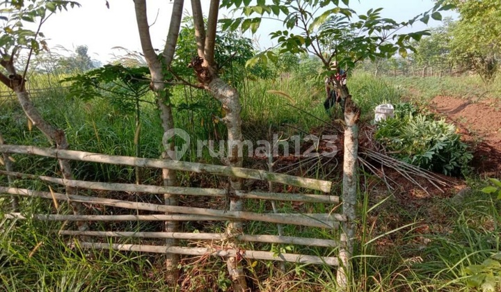 The land plot is strategically located (NY)