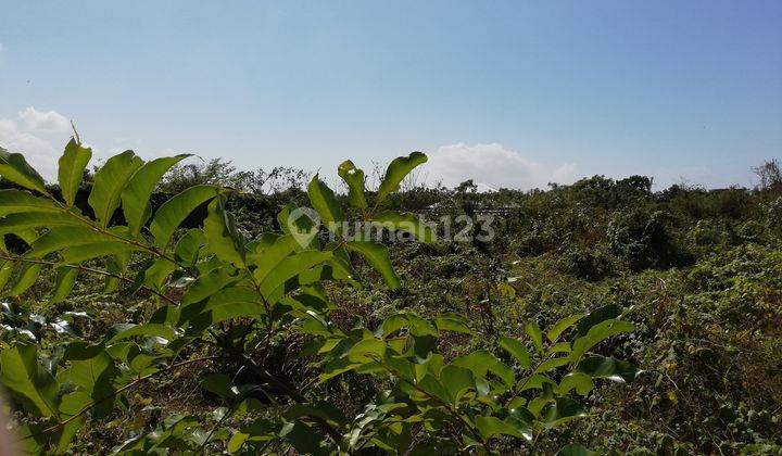 Land for sale with an area of 313 M2, 8m asphalt road in Renon, Denpasar, Bali 2