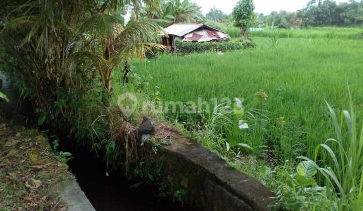 Tanah untuk Villa dengan pemandangan sawah Tanah untuk Villa dengan pemandangan sawah