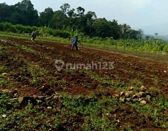 Tanah Lokasi Strategis di Cileueur Sukaresmi Bogor 1