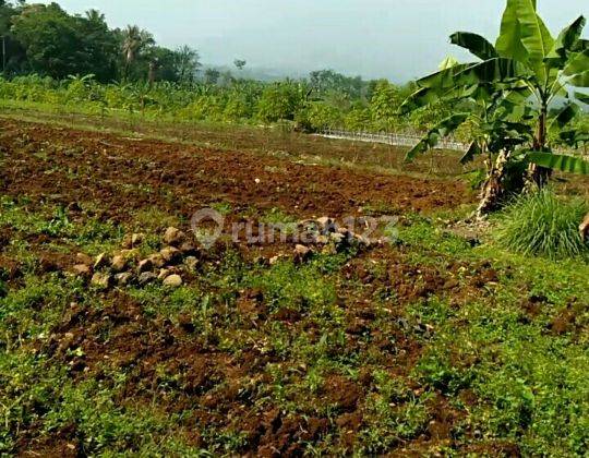 Tanah Lokasi Strategis di Cileueur Sukaresmi Bogor 2