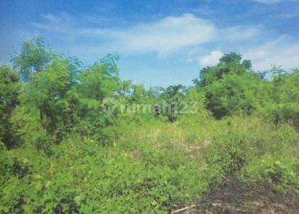 Vacant land in Gianyar, Bali 1