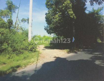 Vacant land in Gianyar, Bali 2