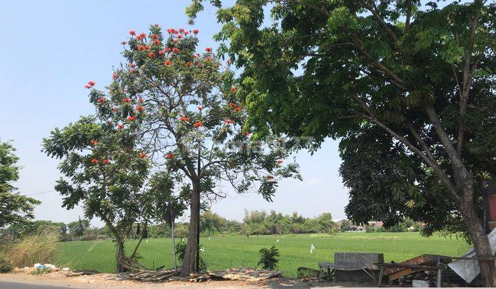 Tanah Industri di Lingkar TImur, Sidoarjo 1