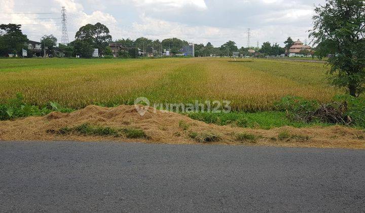 Tanah kering area gudang dekat solo baru 1