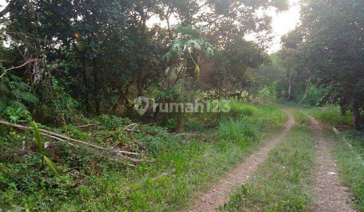 Tanah murah harga NJOP, jarang ada, di pinggir jl raya Ciputat Parung 1